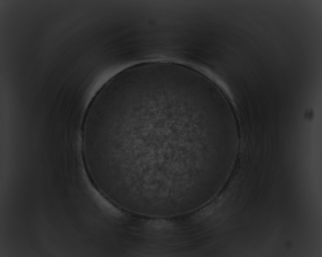 X0000093101239200710031452