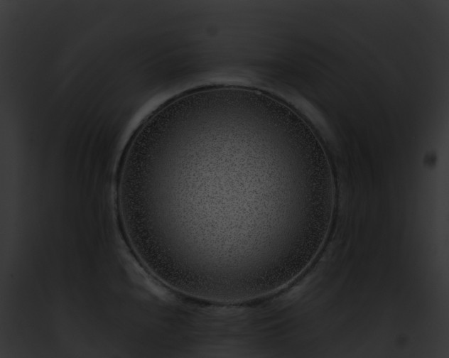 X0000093101240200710031452