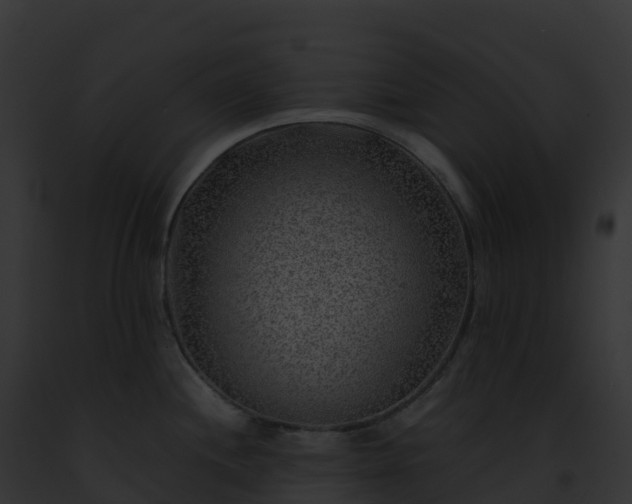 X0000093101244200710031452
