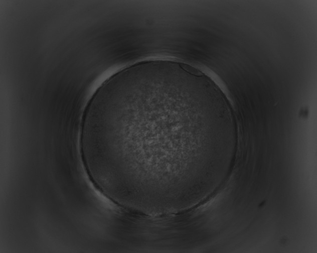 X0000093101245200710031452