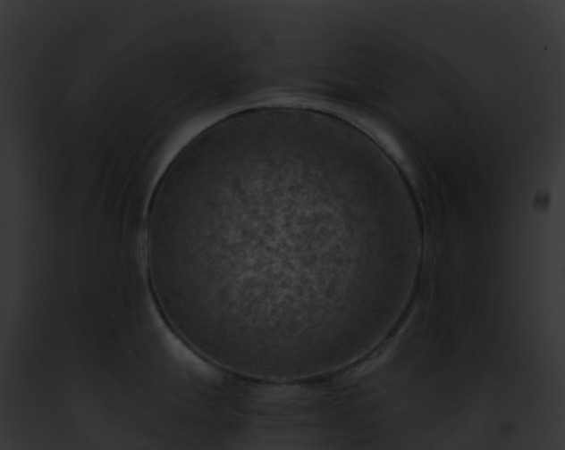 X0000093101247200710031452
