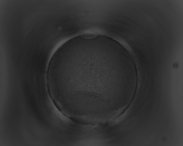 X0000093101248200710031452