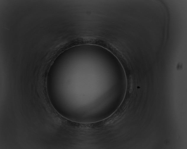 X0000093101249200710031451