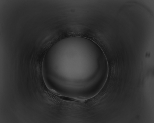 X0000093101250200710031451