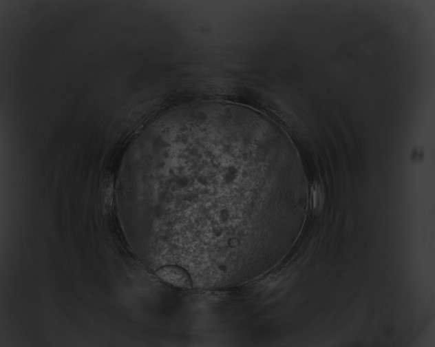 X0000093101251200710031451