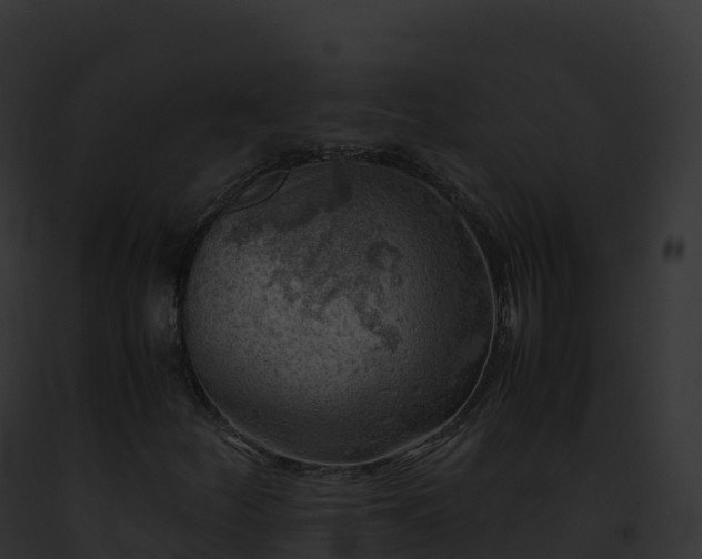X0000093101252200710031451
