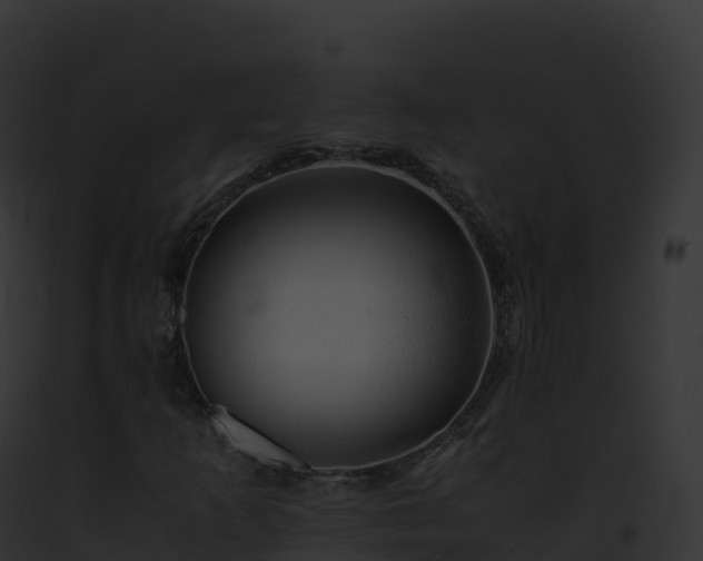 X0000093101253200710031451