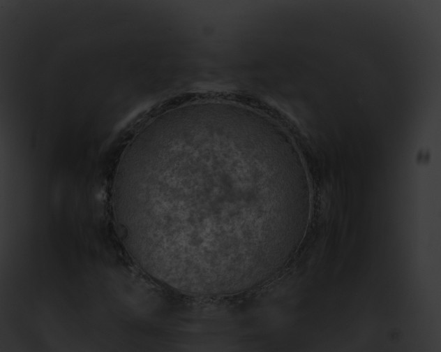 X0000093101254200710031451