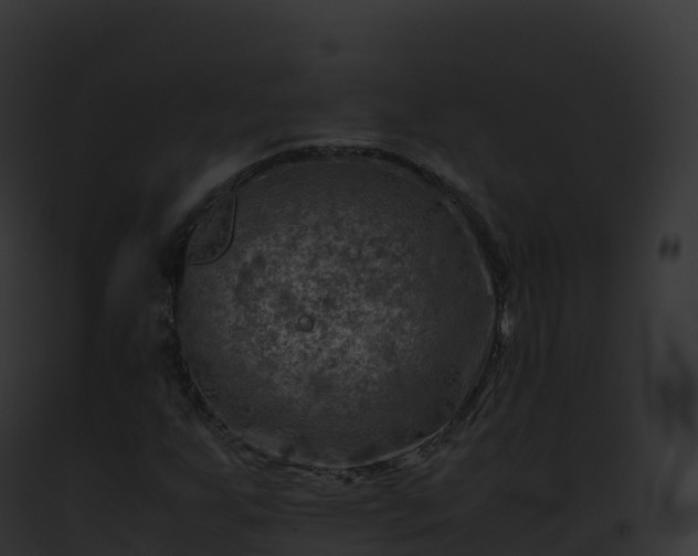X0000093101255200710031451