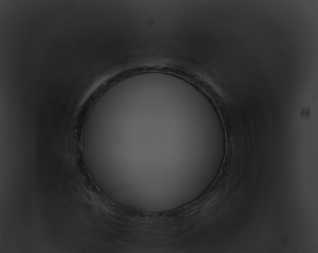 X0000093101256200710031451