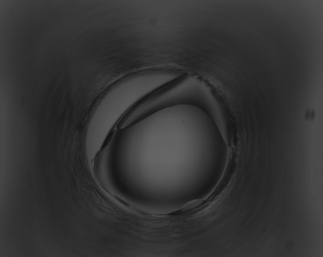 X0000093101257200710031451