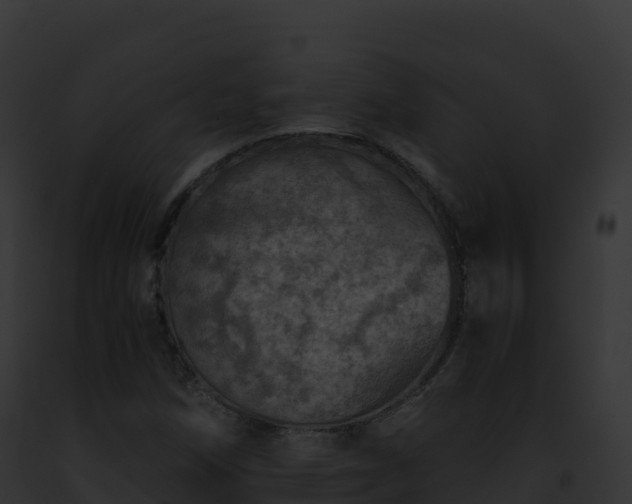 X0000093101258200710031451