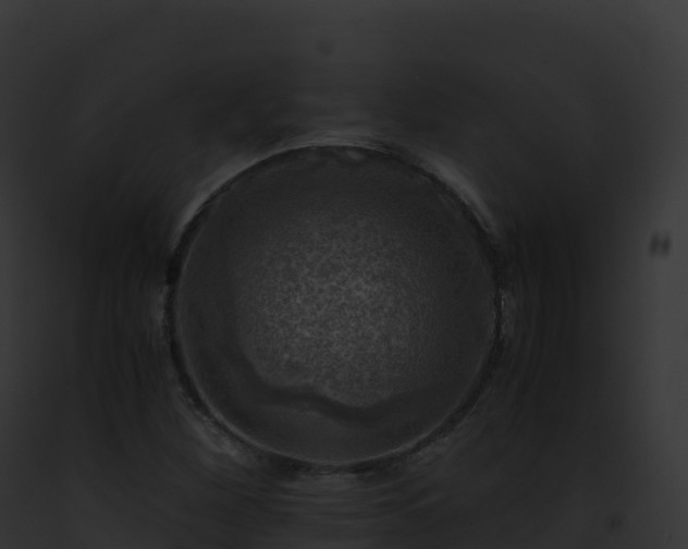 X0000093101260200710031451