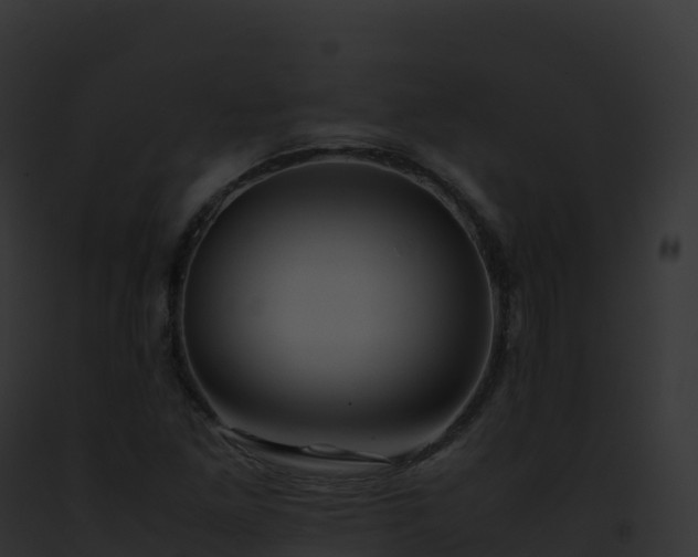 X0000093101261200710031451