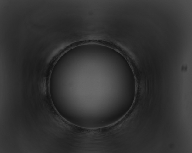 X0000093101262200710031451