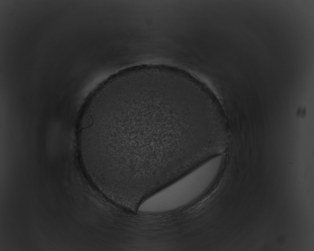 X0000093101263200710031451