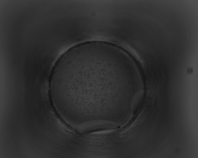 X0000093101264200710031451