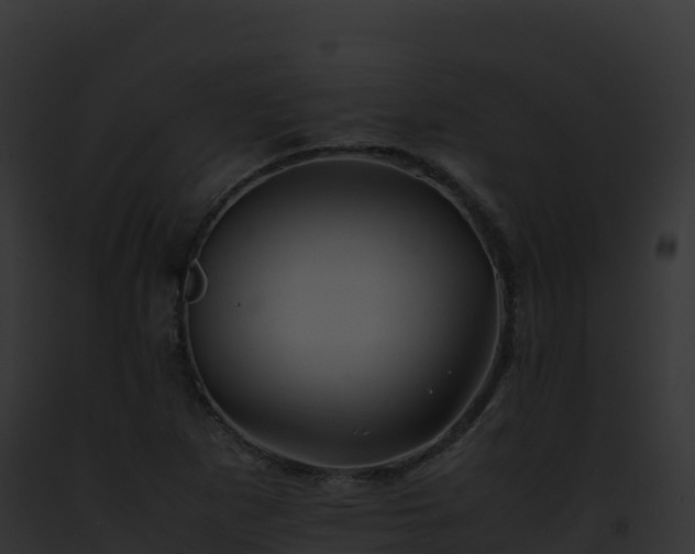 X0000093101265200710031451