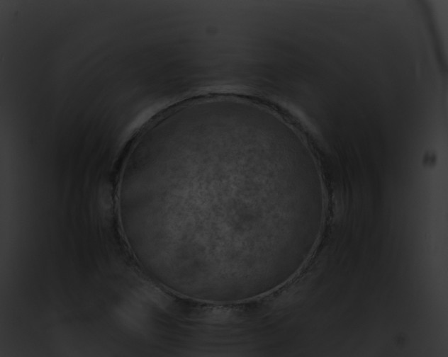 X0000093101266200710031451