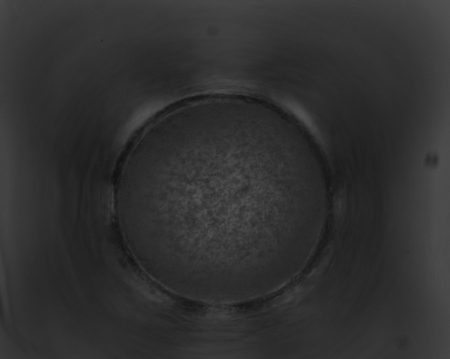 X0000093101267200710031451