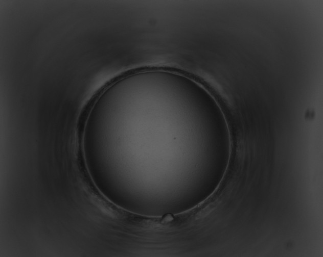 X0000093101270200710031451