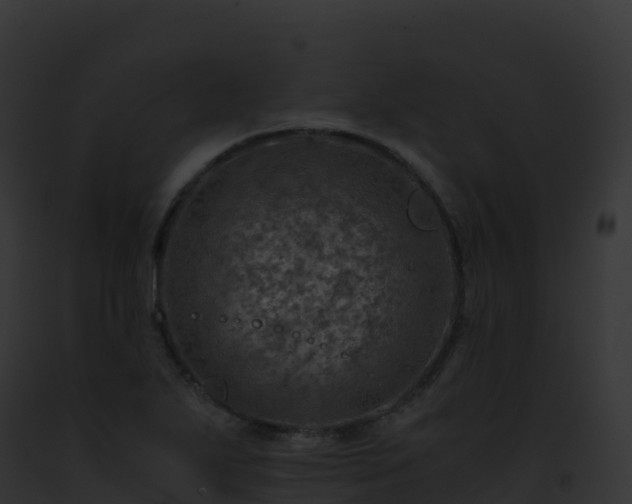 X0000093101271200710031451