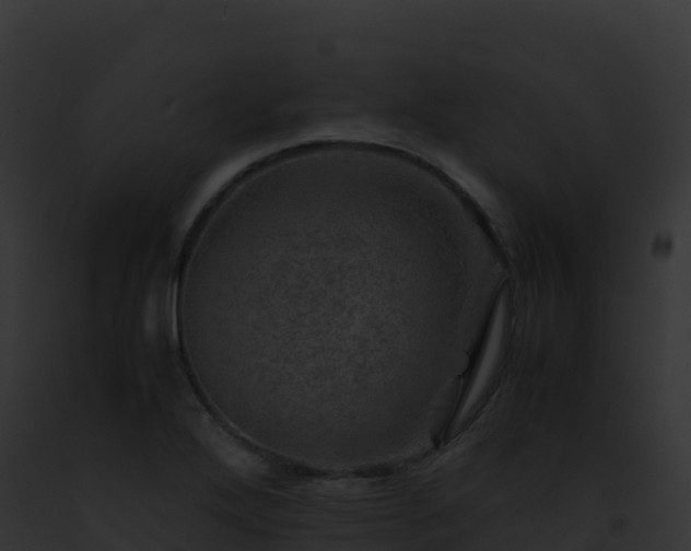 X0000093101272200710031451