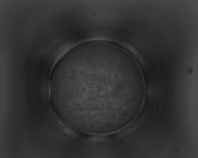 X0000093101274200710031451