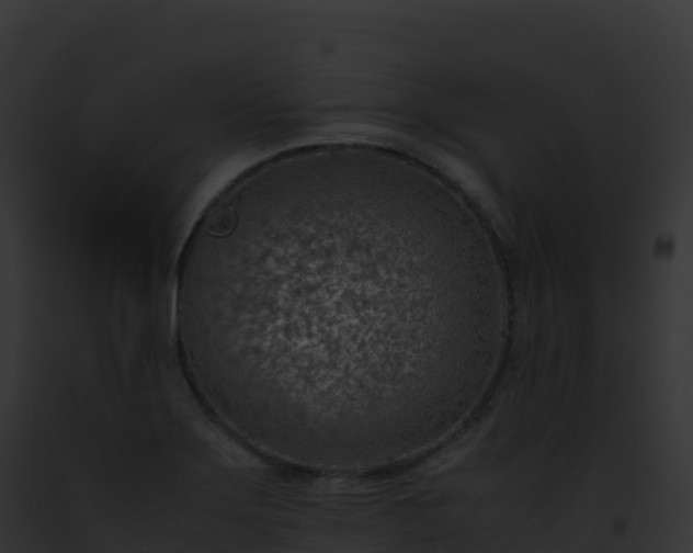 X0000093101275200710031451