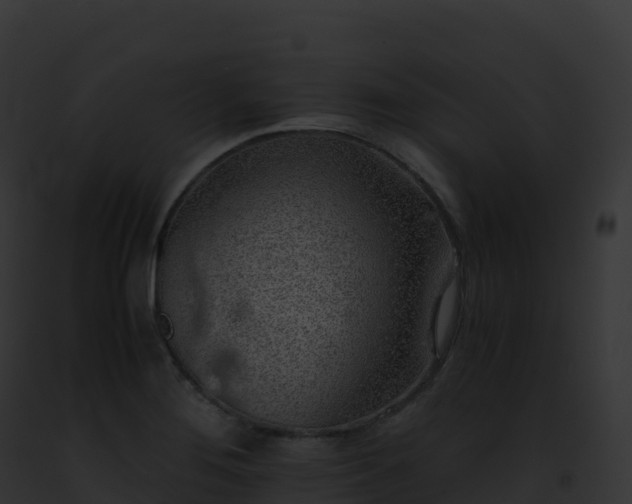 X0000093101276200710031451