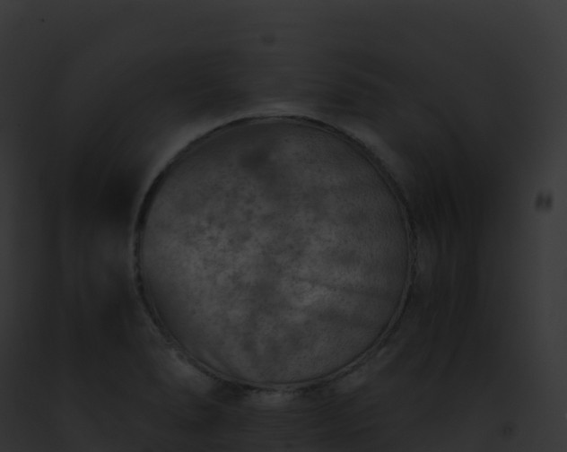 X0000093101278200710031451