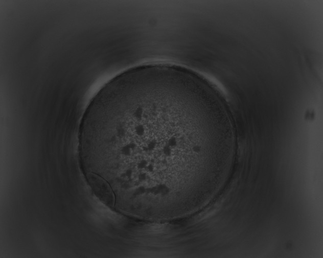 X0000093101279200710031451
