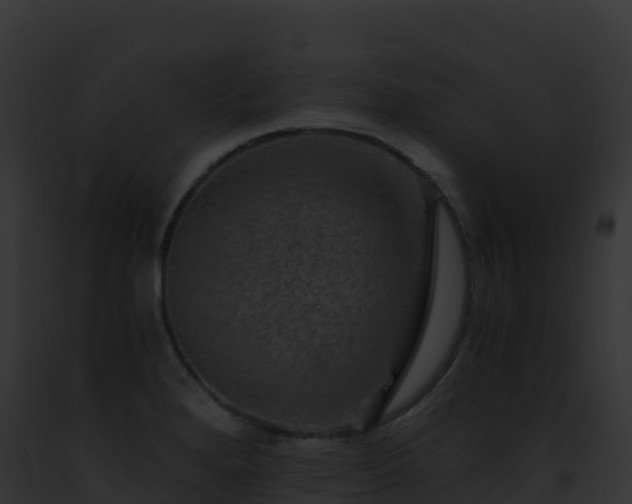 X0000093101280200710031451