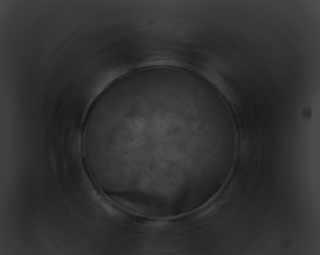 X0000093101282200710031451