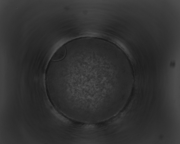 X0000093101283200710031451