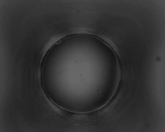 X0000093101285200710031451