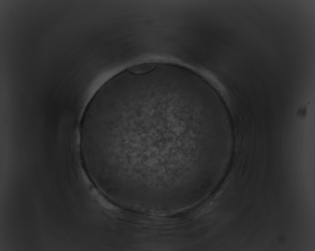 X0000093101287200710031451