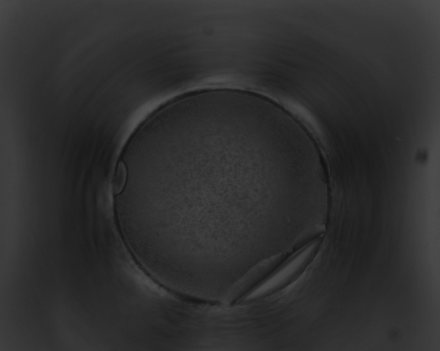 X0000093101288200710031451