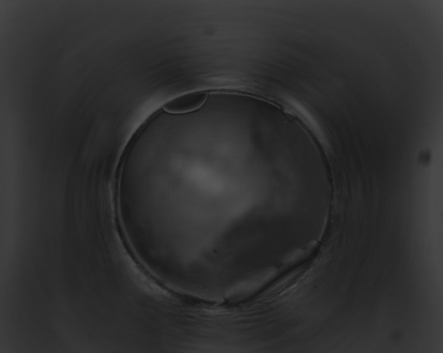 X0000093101291200710031451