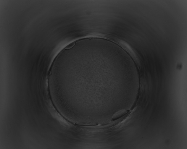 X0000093101292200710031451