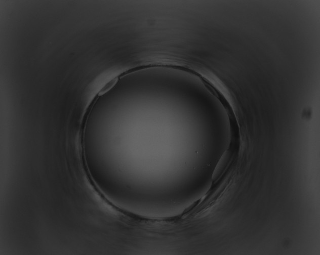 X0000093101293200710031451