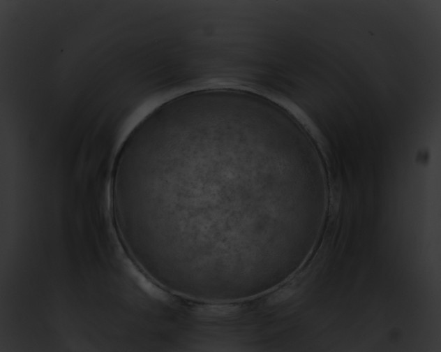 X0000093101294200710031451