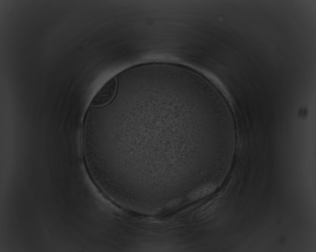 X0000093101295200710031451