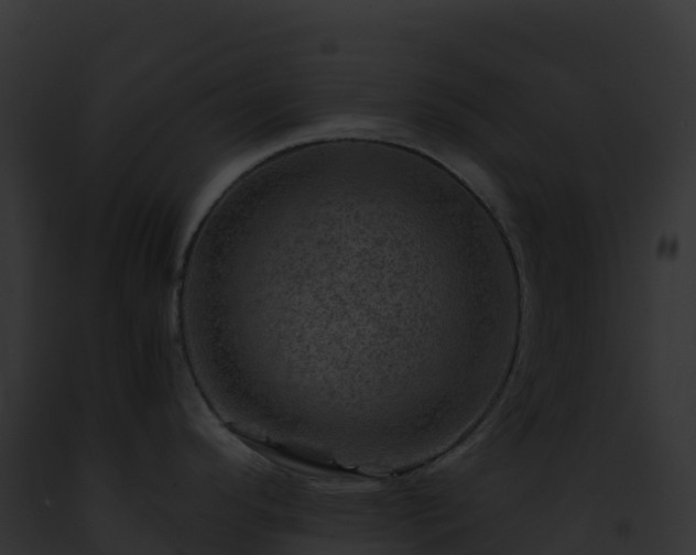 X0000093101296200710031451