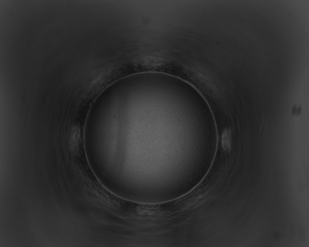 X0000093101299200710031450