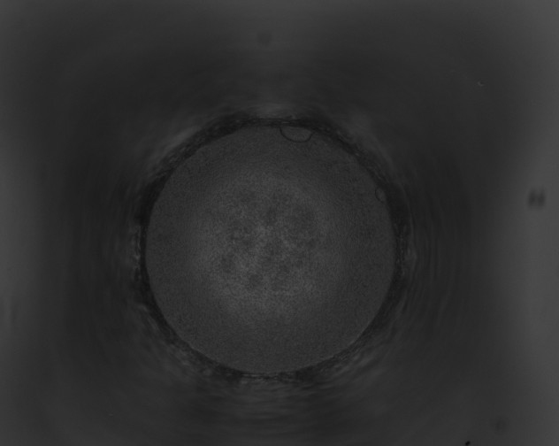 X0000093101301200710031450