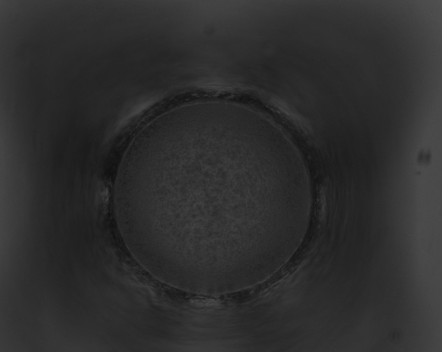 X0000093101302200710031450