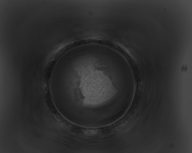 X0000093101303200710031450