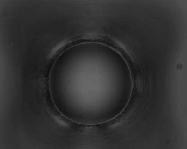 X0000093101304200710031450