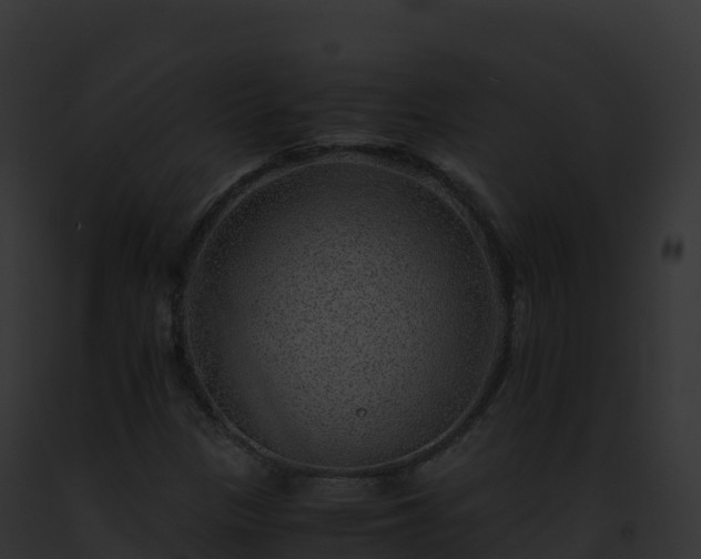 X0000093101305200710031450